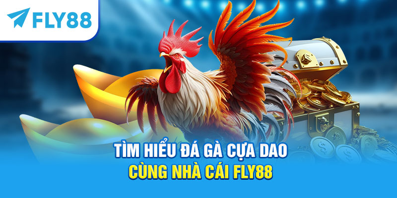 Đá Gà Cựa Dao – Kinh Nghiệm Và Luật Chơi Mới 2025 2 Tìm hiểu đá gà cựa dao cùng nhà cái Fly88